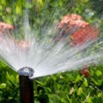 Install a Sprinkler System