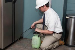 Professional Home Pest Control Services In Jacksonville Florida